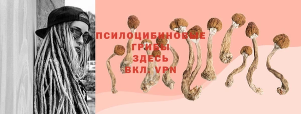 твердый Алзамай