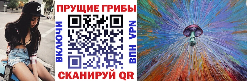 цены   Питкяранта  Галлюциногенные грибы MAGIC MUSHROOMS 